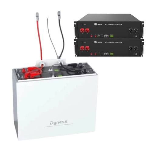 Батарея DYNESS LiFePO4 48V/100Ah 4.8 кВт для ДБЖ з BMS з корпусом, настінна, для енергозабезпечення будинку, квартири 3009241 фото