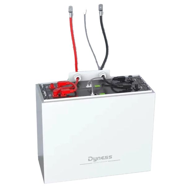 Батарея DYNESS LiFePO4 48V/100Ah 4.8 кВт для ДБЖ з BMS з корпусом, настінна, для енергозабезпечення будинку, квартири 3009241 фото