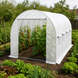Теплица Garden 10 м&sup2; (2,5&times;4 м) белая, усиленная, парник с окнами (8 шт.), армированная плёнка 3 слоя, для дачи и огорода 404262 фото 6