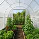 Теплица Garden 10 м&sup2; (2,5&times;4 м) белая, усиленная, парник с окнами (8 шт.), армированная плёнка 3 слоя, для дачи и огорода 404262 фото 7