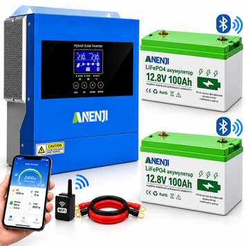 Комплект резервного живлення Anenji 4,2 кВт 24В Wi‑Fi + 2 акумулятори LiFePO4 12,8В 100Ah Bluetooth, 2,56 кВт&middot;год, для дому 2509266 фото