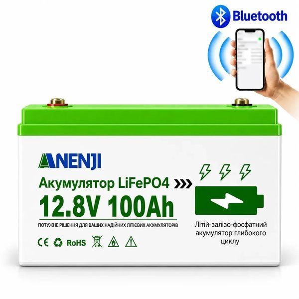 Комплект резервного живлення Anenji 4,2 кВт 24В Wi‑Fi + 2 акумулятори LiFePO4 12,8В 100Ah Bluetooth, 2,56 кВт&middot;год, для дому 2509266 фото